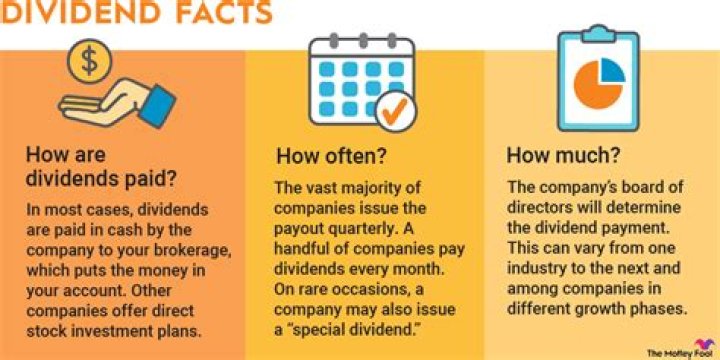 How much is csl dividends?