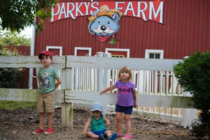 How much is parkys farm?