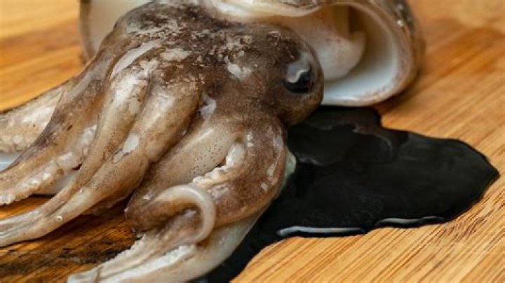 How squid ink is made?