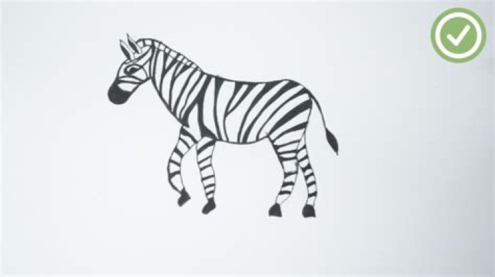 How to draw a simple zebra?