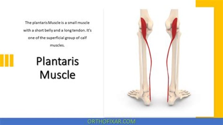 How to heal plantaris muscle?