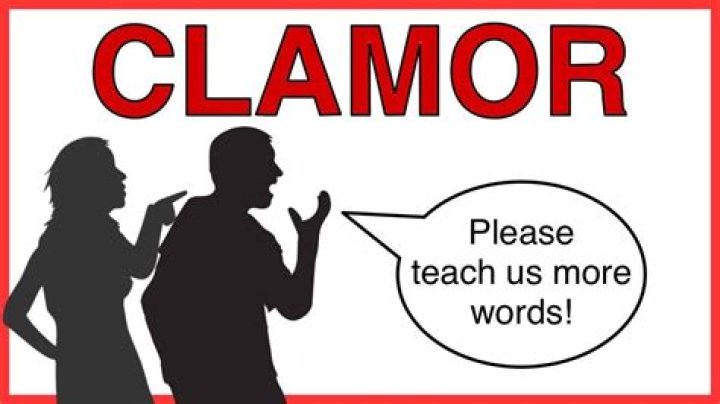 How to put clamour in a sentence?