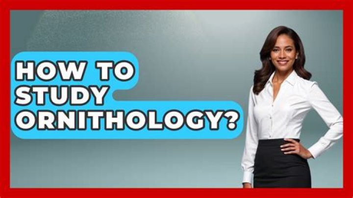 How to study ornithology?