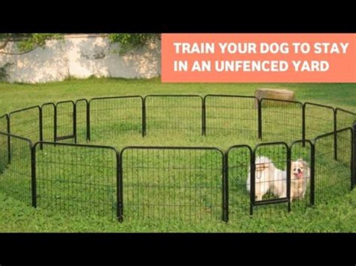 How to train a puppy to stay in an unfenced yard?