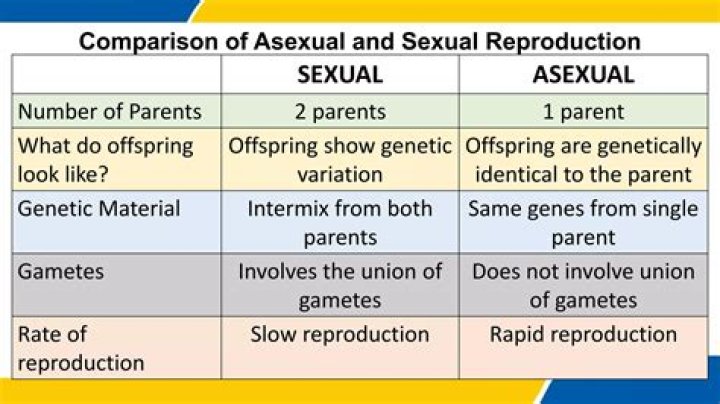 In asexual reproduction how many parents are involved?