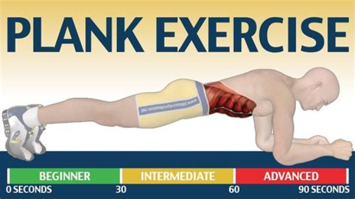 In exercise what is a plank?