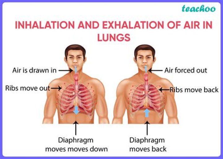 In exhalation air pressure in the lungs is?
