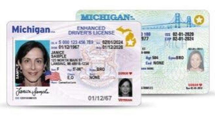 In michigan what is an enhanced driver's license?