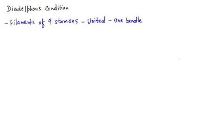 In which of the following diadelphous condition is seen?