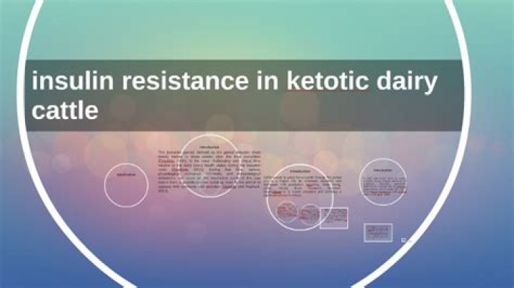 Insulin resistance in ketotic cows?