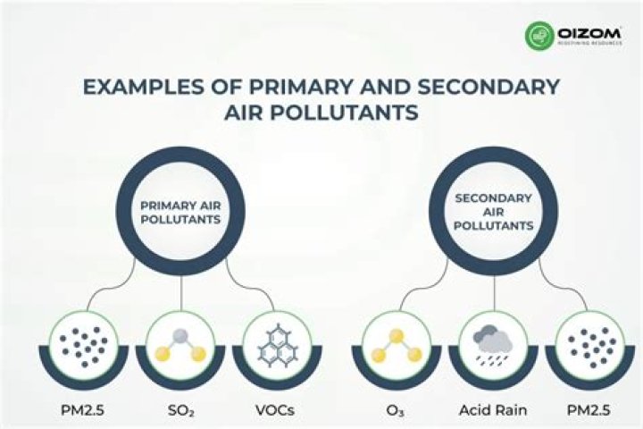 Is/are examples of secondary pollutants?