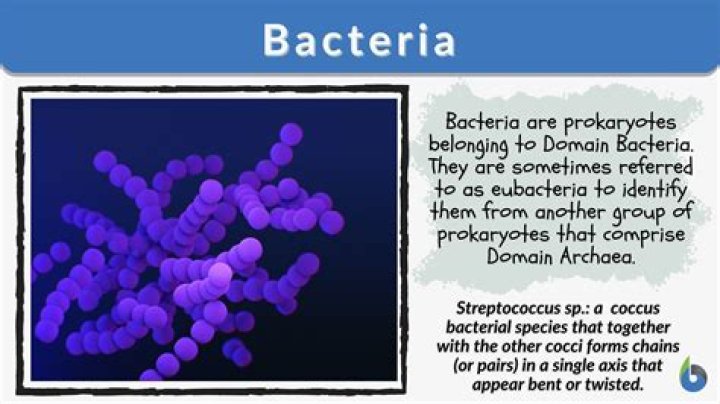 Is bacteriology a science?