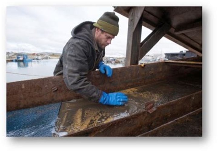 Is bering sea gold on tonight?