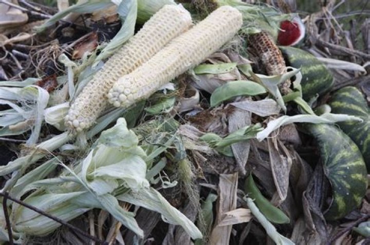 Is corn husk good for compost?