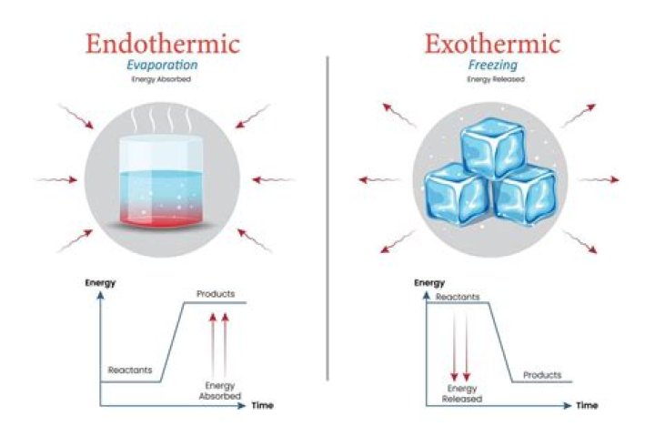 Is corrosion endothermic or exothermic?