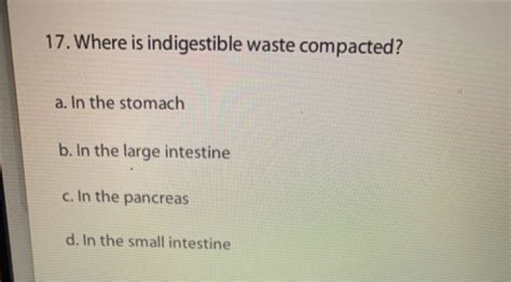 Is indigestible a real word?
