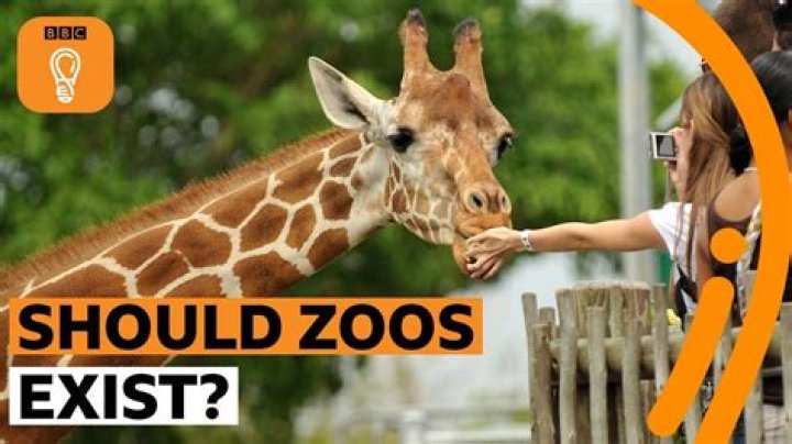 Is it good to keep animals in zoos?