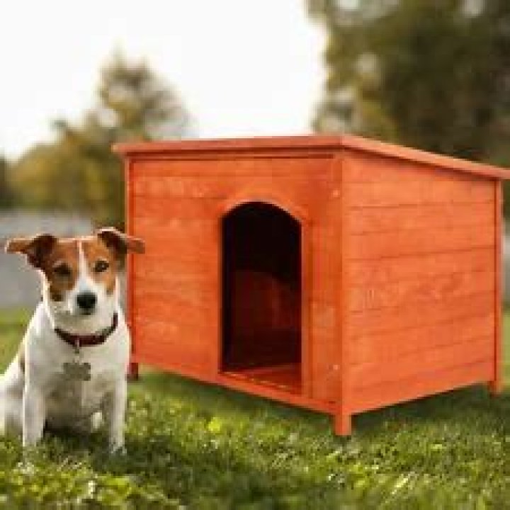 Is miss winkles a no kill shelter?