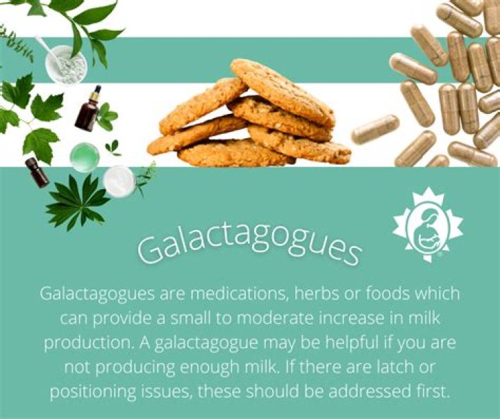 Is oatmeal a galactagogue?