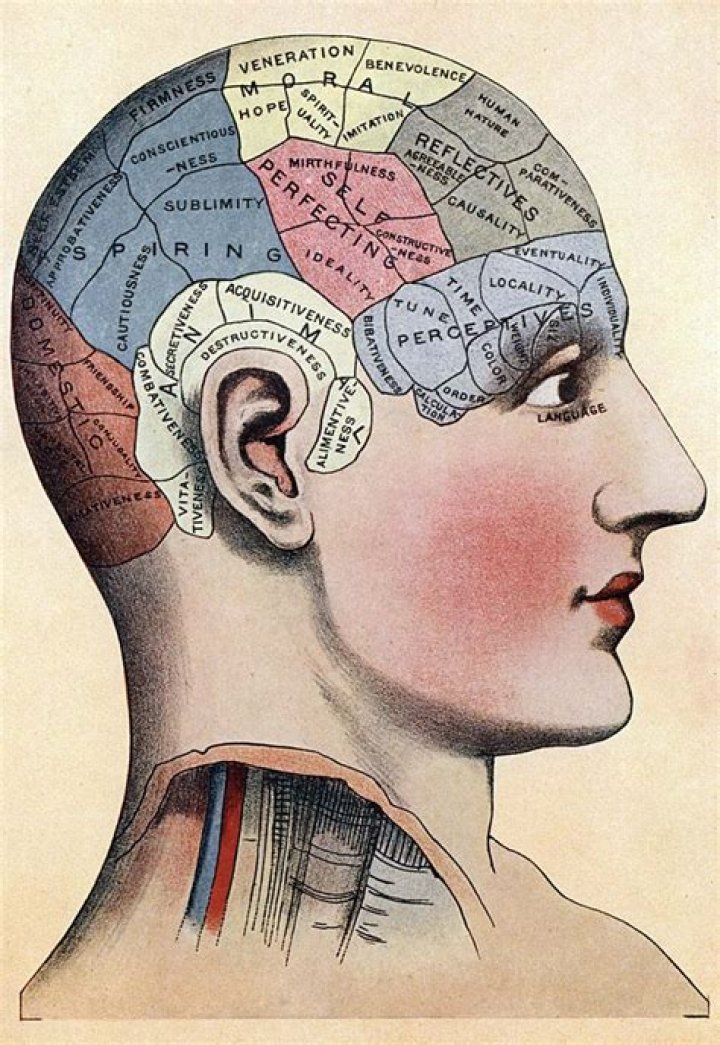 Is phrenology an example of science or pseudoscience?
