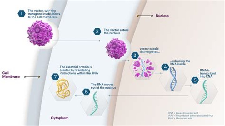 Is sarepta a takeover target?