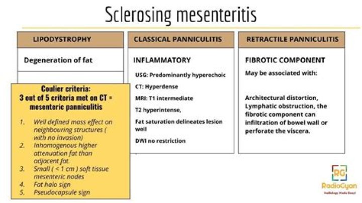 Is sclerosing mesenteritis an autoimmune disease?