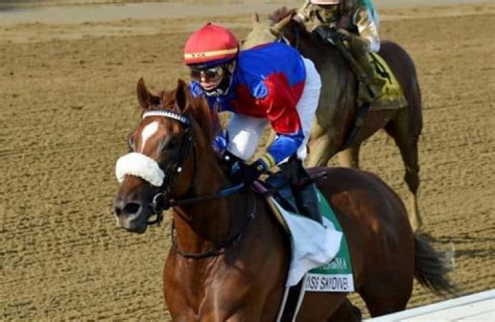 Is swiss skydiver running in the breeders cup classic?