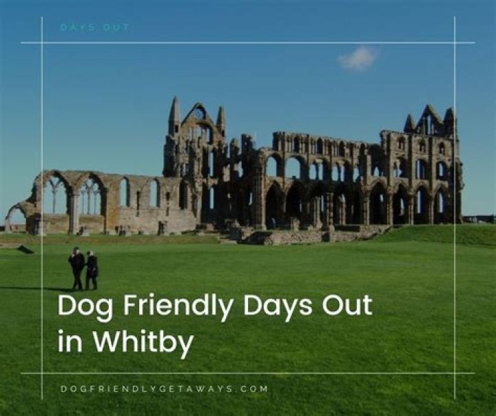 Is trenchers whitby dog friendly?