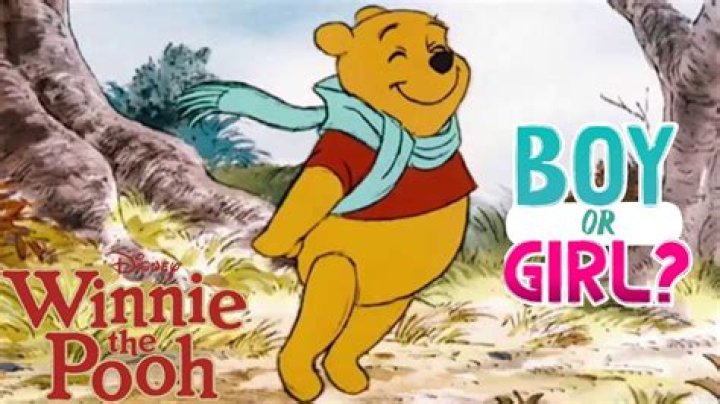 Is winnie a boy or girl?