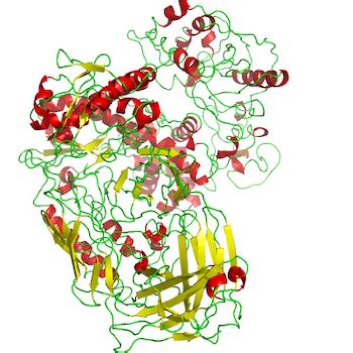 On taq dna polymerase?