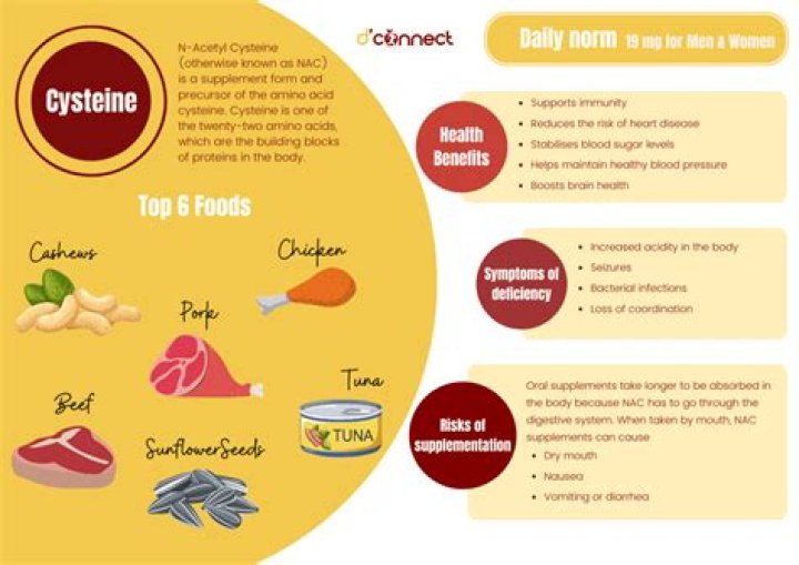 Should i take n acetylcysteine with food?