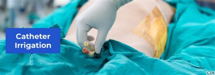 Should you clamp a foley catheter?