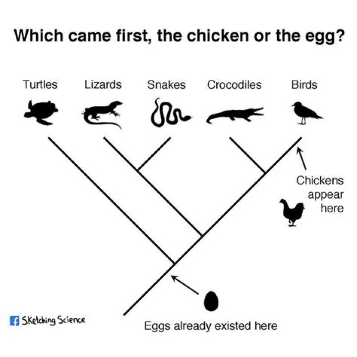 Was chicken or egg first?