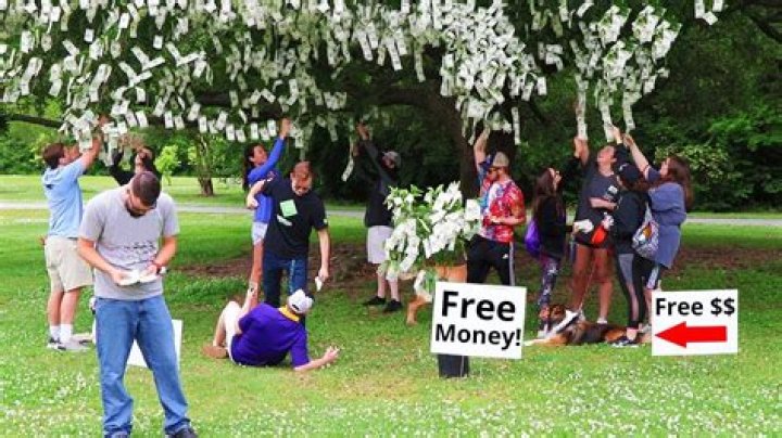 Was money made from trees?