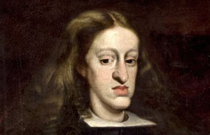 Were the habsburgs inbred?