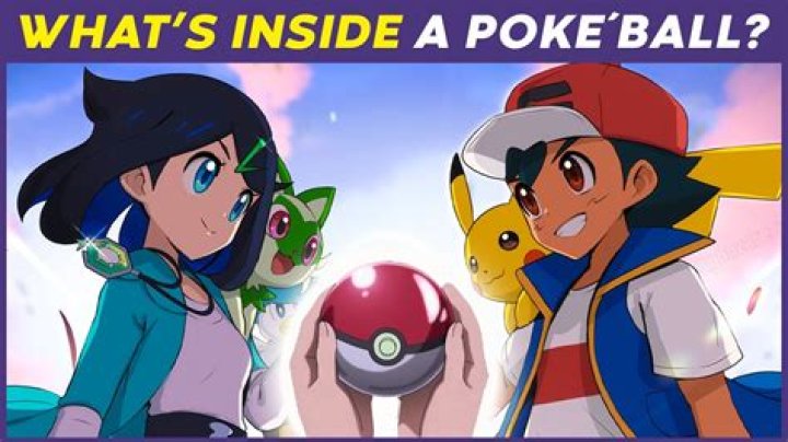 What's inside a pokeball?