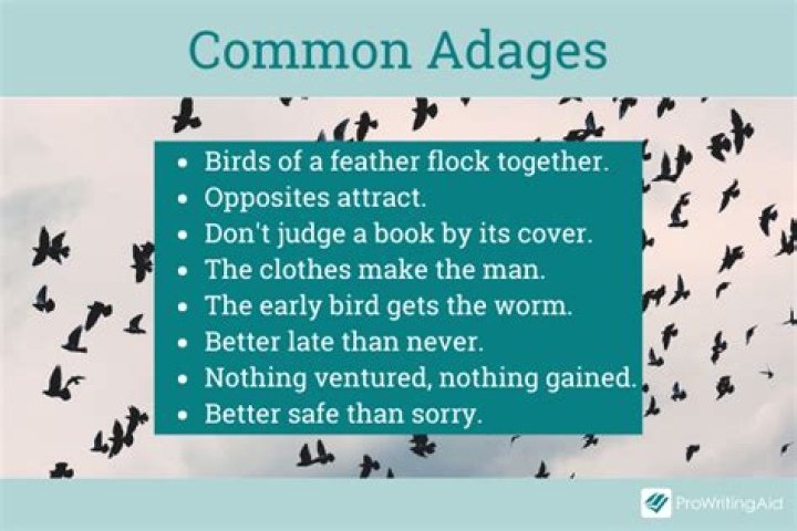 What are common adages?