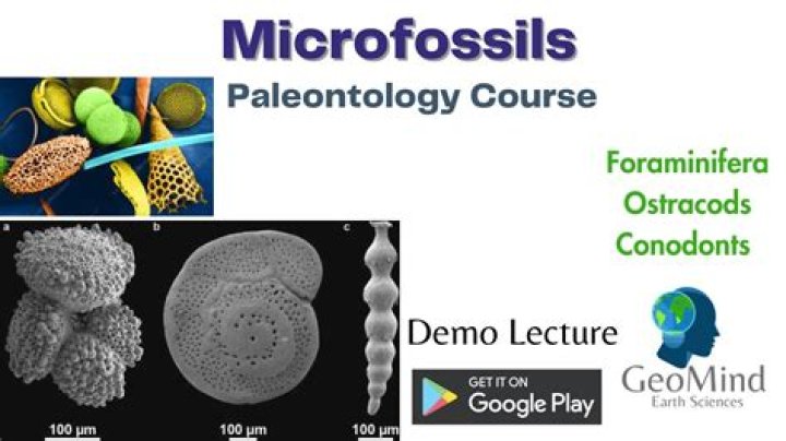 What are microfossils made of?