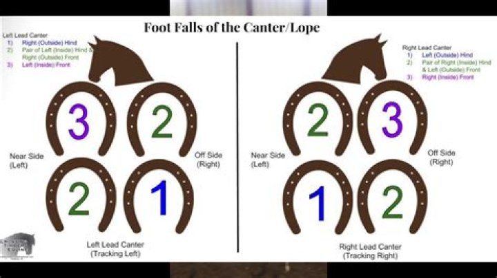What are the footfalls in canter?