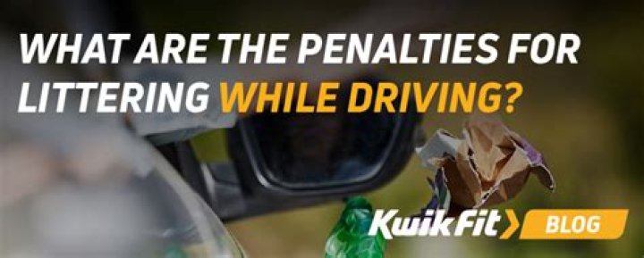 What are the penalties for littering?