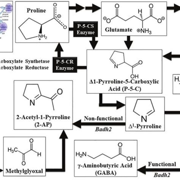 What does 2-acetyl-1-pyrroline smell like?