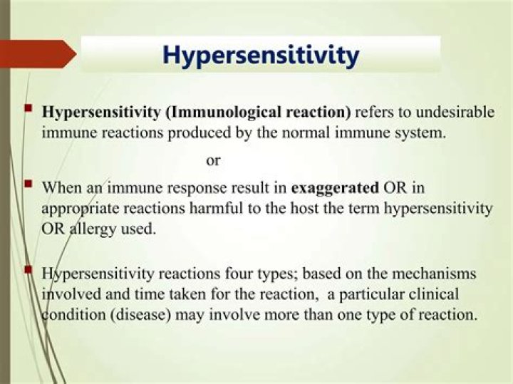 What does hypersensitivity mean in english?