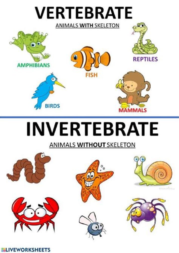 What does indivertibly meaning?