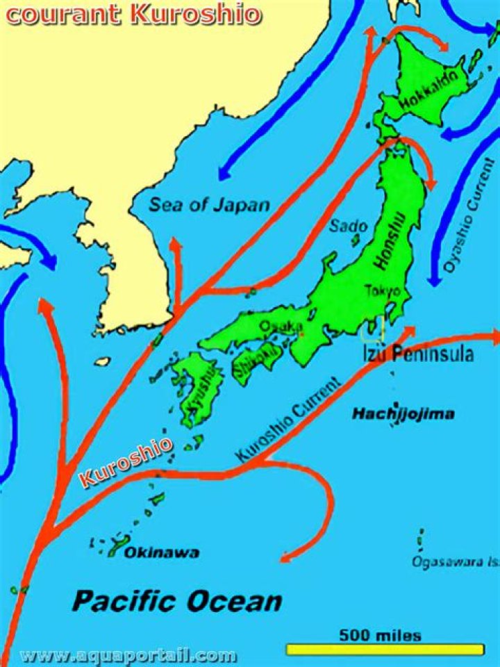 What does kuroshio mean?