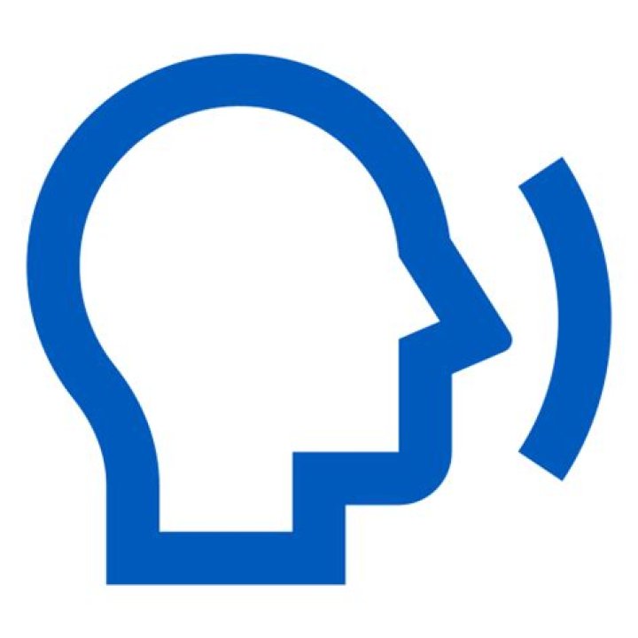 What does maquisard meaning?