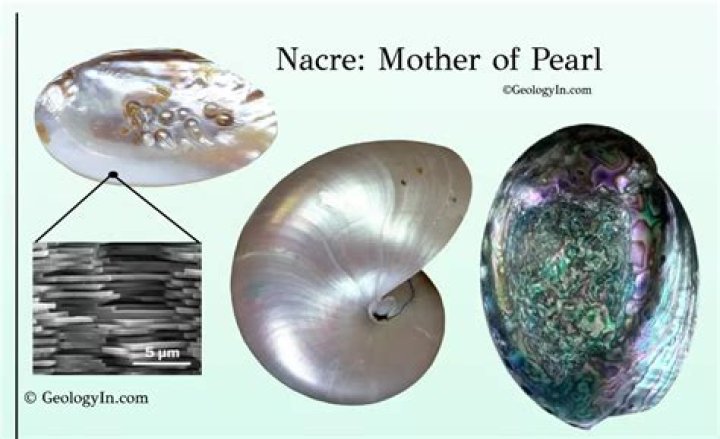 What does mother of pearl come from?