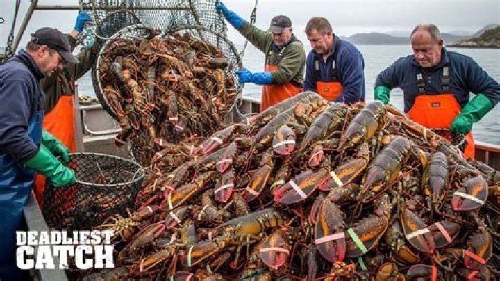 What does overharvesting crabs mean?