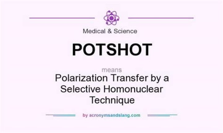 What does potshot stand for?