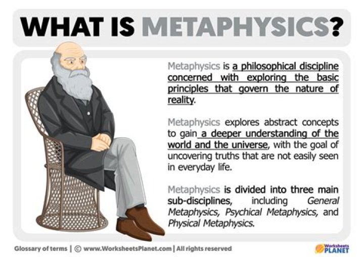 What does the word metaphysician meaning?
