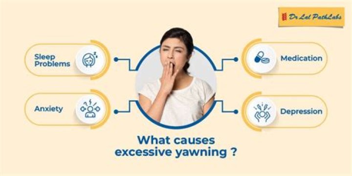 What excessive yawning means?